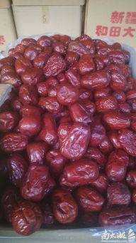 新疆和田大枣批发零售需要的联系 农副食品 美食商家